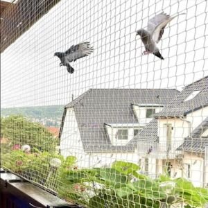 Product Image of Bird Netting Services in Ramol